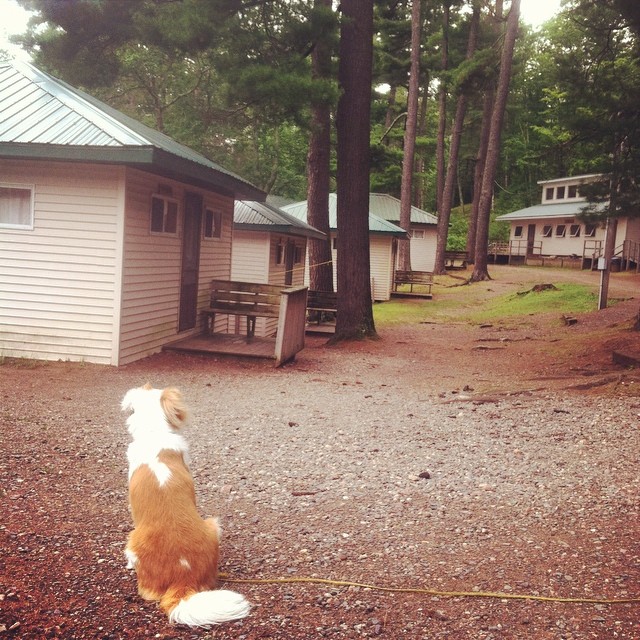 Franky WeHaKee on cabin row